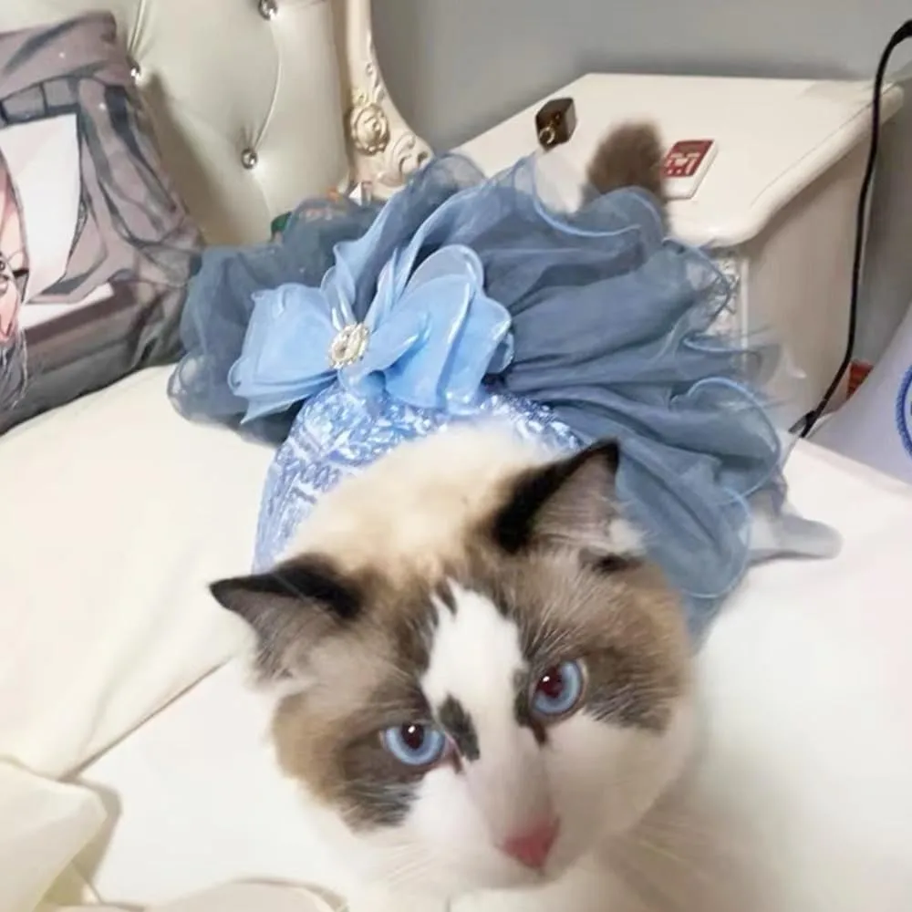 ANIAC Blue Cat Wedding Dress with D-Ring Bow Knot Dog Wedding Outfit Formal Puppy Clothes for Girl Small Dog Luxury Pet Party Dress for Kitten Chihuahua Yorkie Pomeranian (Blue-2, Small)