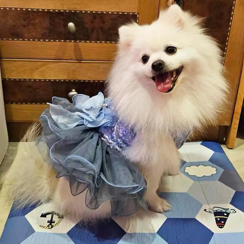 ANIAC Blue Cat Wedding Dress with D-Ring Bow Knot Dog Wedding Outfit Formal Puppy Clothes for Girl Small Dog Luxury Pet Party Dress for Kitten Chihuahua Yorkie Pomeranian (Blue-2, Small)